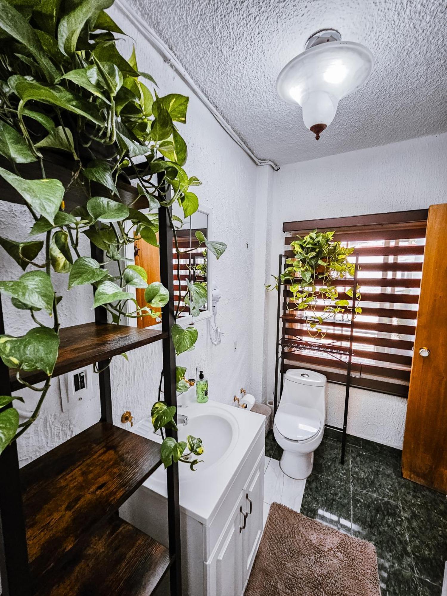 Habitacion Con Bano Privado B, Centro De Coyoacan Mexico City Exteriör bild